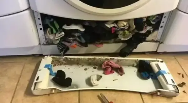 Jak wyciągnąć skarpetki z pralki? Praktyczny poradnik krok po kroku